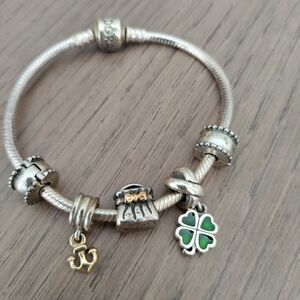 Pandora Moments Bracelet with RETIRED Charms